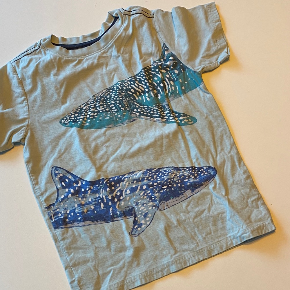 Tea Collection Whale Shark Print T-Shirt - Light Blue
